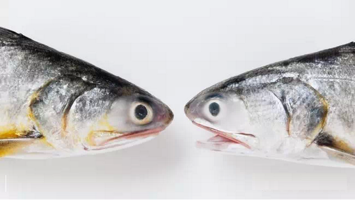 三個(gè)職場(chǎng)咸魚翻身的故事
